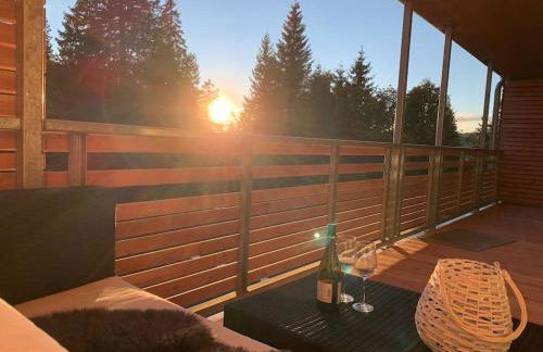 Stube9 am Feldberg, direkt an der Skipiste, Ski in-Ski out - Photo 36