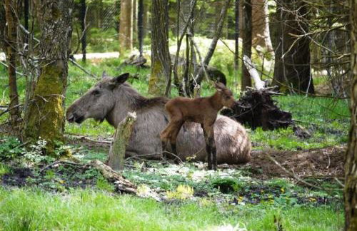 Apartment, 2 bedrooms, kitchen+2 bathrooms - Photo 38