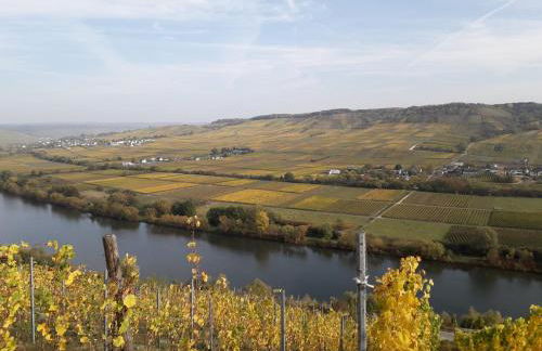 Weingut Johanneshof - Foto 14