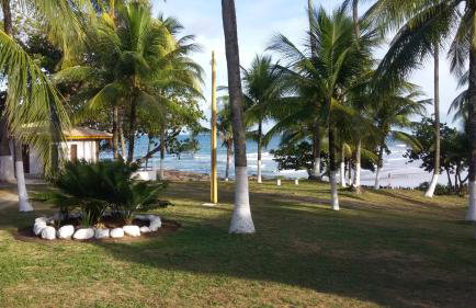 Flat Ilhéus - Jubiabá Olivença - Photo 32