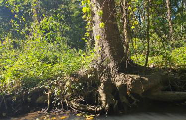 Appartement dans Château exceptionnel - Foto 24