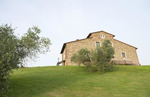 Tenuta La Tabaccaia - Foto 64