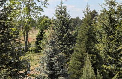 Pension zum Reiterhof, Fewo 2 - Foto 20