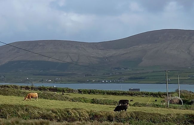 Country Cottage Apartment, Valentia Island, Kerry - Foto 13