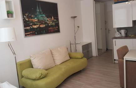 Sonniges Modernes Appartement Höhenberg - Foto 1