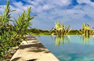 Masseria Tornesella Don Giuliano - Foto 37