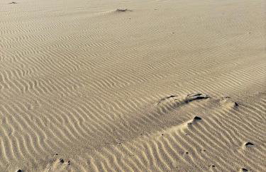 Apartamenty nad morzem Przy Klifie 2 Dębina - Foto 48