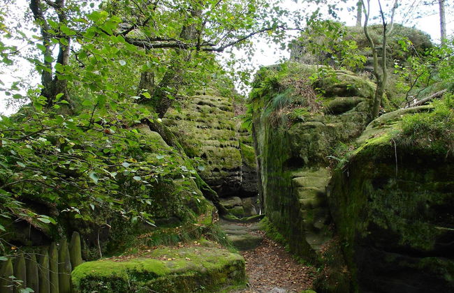 Struppen Nature Loft - Photo 37