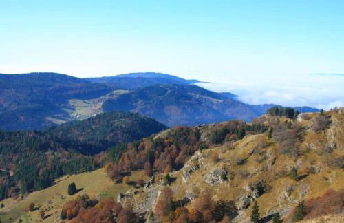 Ferienwohnung Hirschkopf - Foto 26