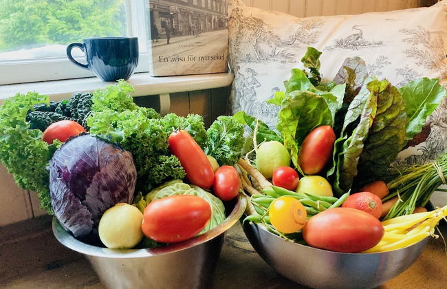 5 bed Country Home Only 2 hrs North of Stockholm - Foto 4