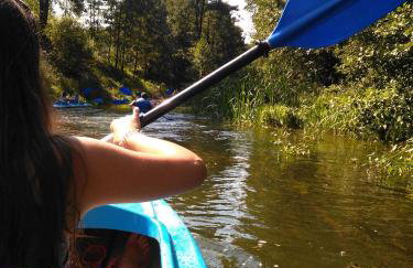 Słabińska Marianna Gospodarstwo Agroturystyczne Willamajka - Foto 50