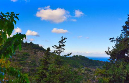 Endless green 1 Arethousa Ikaria - Photo 19