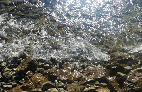 Happy garden house - Photo 30