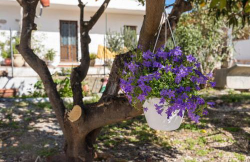 Casa Masala Irgoli - Photo 28