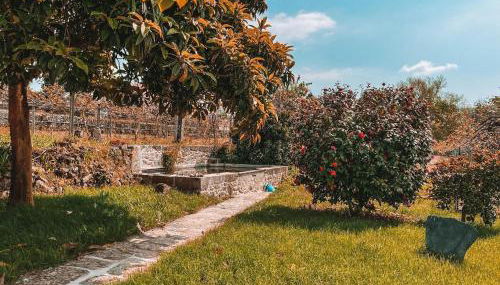 Windmill House - Foto 5