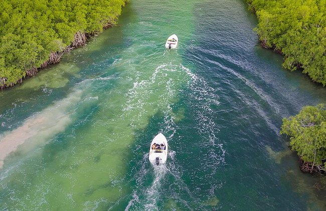 Snorkeling Experience in Cancún with Speedboat (Couple) - Photo 5