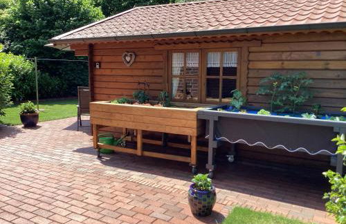 Landhaus Saterland Ferienwohnung Emsland Ostfriesland Nordsee - Foto 21