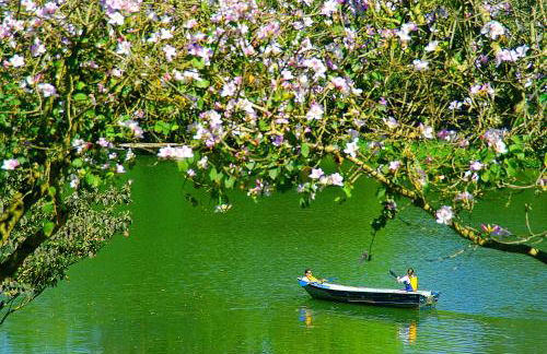 Hotel Fazenda Areia que Canta - Foto 35