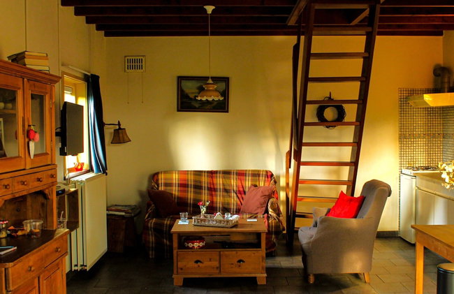 Cottage in Schijf With Garden - Foto 17