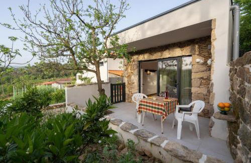 Quinta De Fundevila -quinta privada - Foto 44