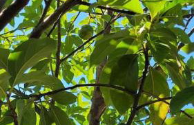 Casa da Vó Hospedagem Afetiva - Foto 58