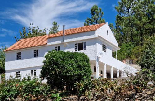 Quinta Dos Kiwis - Foto 1