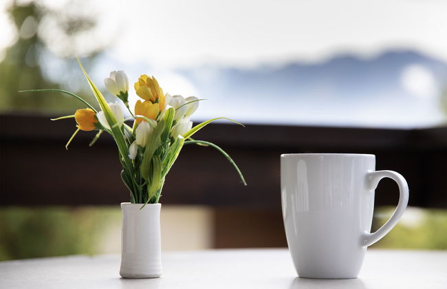 Galaxie 217 - Foto 6