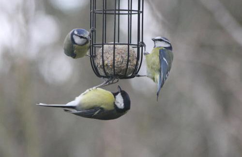 The Old Reading Room - Photo 22