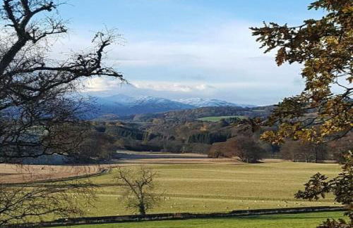 Fern Lodge - Luxury Lodge with steamroom in Perthshire - Photo 23