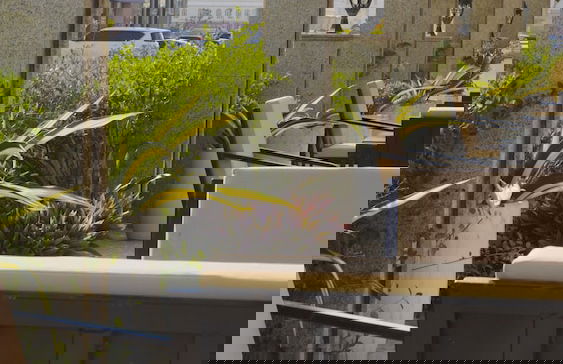 Bristol Hotel Salalah - Foto 44