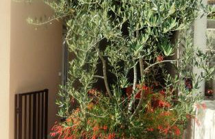 Apartments Karoma - Foto 13