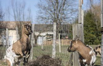 Gite du Moulin de la Peyriere - Foto 15