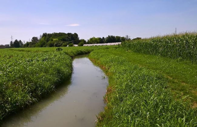 Agriturismo Cipolli e Podò Corte Carlini - Foto 36