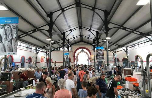 Bicas Velhas Studio - Foto 23