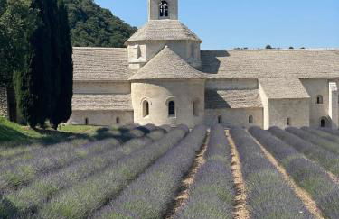Villa 7 pers - Grande Piscine Privée - Luberon - Foto 56