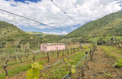 Podere Is Tres Fradis - Foto 1