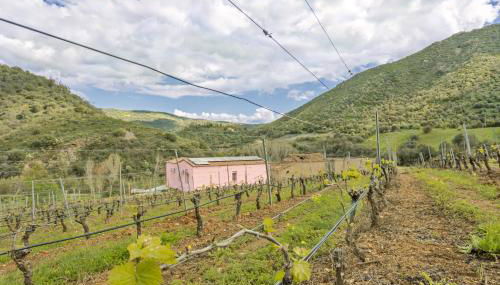 Podere Is Tres Fradis - Foto 1, Garden