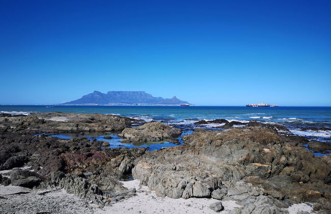 Pinard On Sea - Photo 30