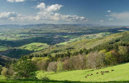 Plaisir des prés - Appartement T3, jardin, parking - Foto 15