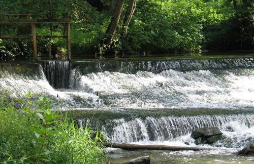 Irreler Mühle Ferienwohnungen und Ferienhäuser - Foto 37