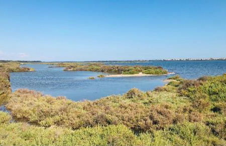 Le Nautica Plage T2 climatisé en bord de mer - Foto 31