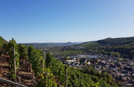 Ferienwohnung Schatzkammer - Foto 14