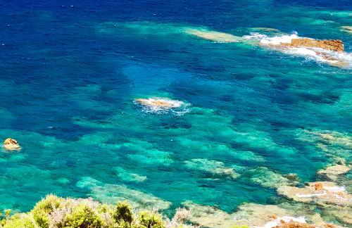 L'armandulina - Foto 16