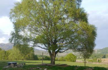 Rest At Last - Highland Apartment with Private hot tub - Photo 59