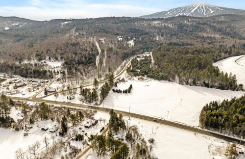 Classic Stratton Ski Chalet - Foto 61