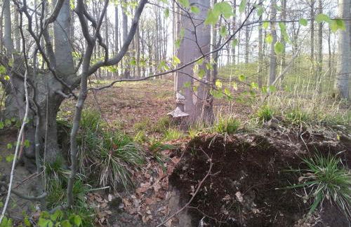 MOIN, MOIN & AHOI! - Foto 62