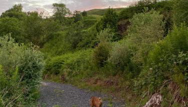 Lagnakeil Highland Lodges - Foto 5