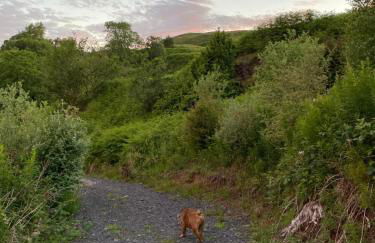 Lagnakeil Highland Lodges - Foto 5