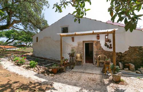 Pátio Serrano - Foto 54