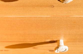 Awakening in the Dolomites between Pelmo and Antelao - Foto 33